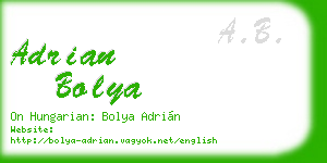 adrian bolya business card